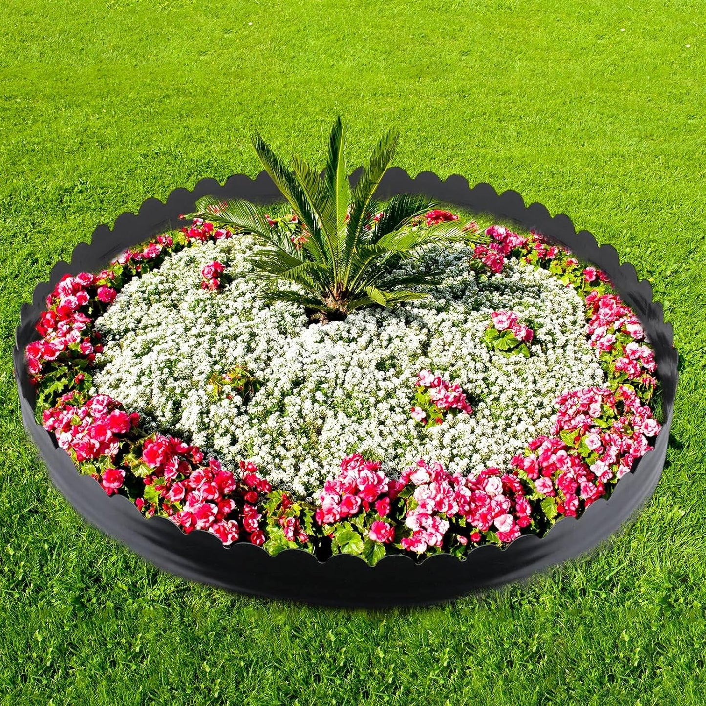 6 Inch Tall 33 ft Length No Dig Landscape Plastic Edging Kit with Hammer Spikes Plastic Garden Flower Bed Edging Landscape Edging Border for Gardens Border Lawn Grass Yard (Black,Wave)