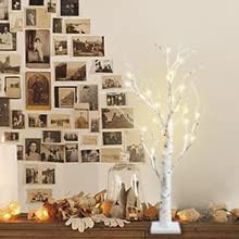 2FT Birch lamp 24 LED Birch Tree Light Tabletop Artificial Tree Light Warm White Light Table Lamp Battery Operated Tabletop Tree with Timer for Birthday Gift Room Festival Decoration Home Party
