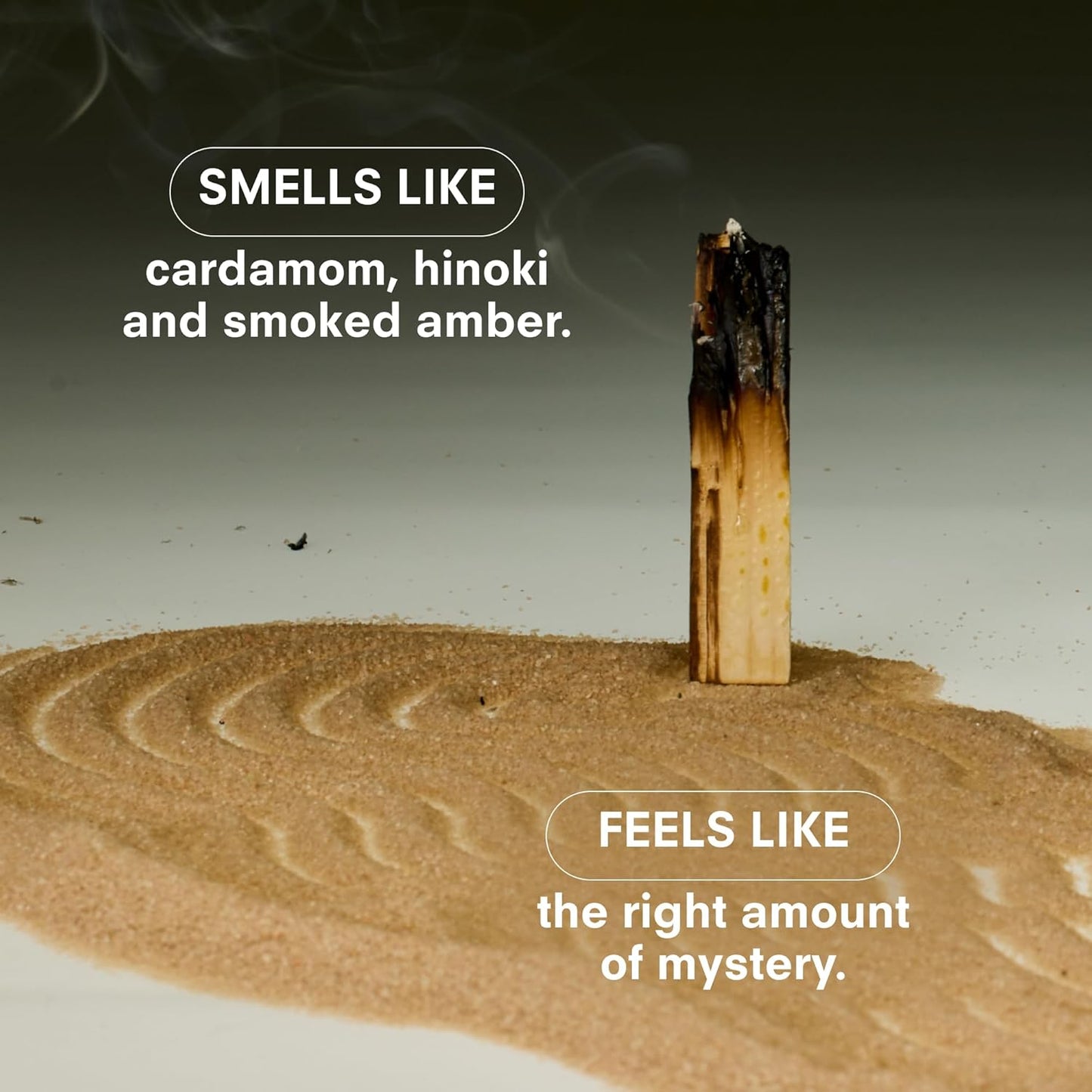 Hinoki Fantôme Scented Candles for Men and Women - 8.5 oz - Soy, Coconut Wax Candle Blend - Aromatic Candles for Home with Japanese Cypress, Jasmine and Smoked Amber - 50-Hour Burn - Cotton Wick