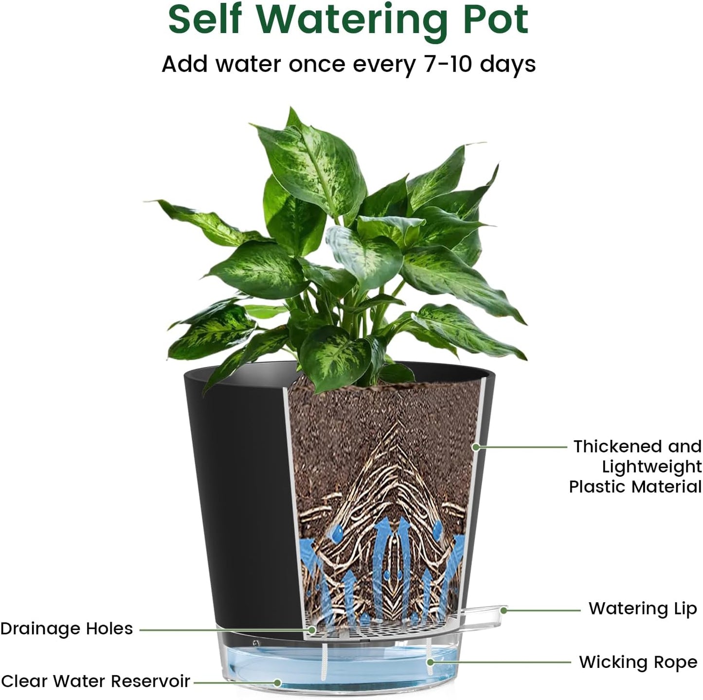 6 inch Self Watering Pots for Indoor Outdoor Plants, 6 Pack Flower Plant Pots with Drainage Holes and Clear Reservoirs, Visible Water Level, Plastic Planters with Wicking Rope, Black