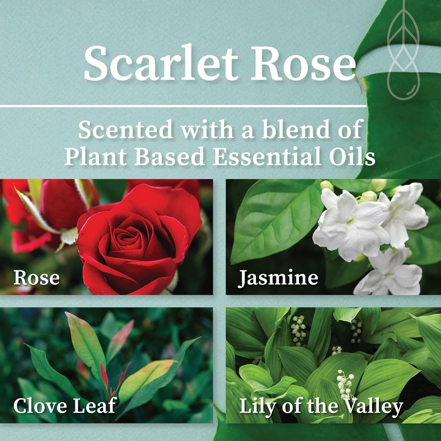 Hemlock Park Wood Wick Candle Handcrafted with Natural Coconut Wax and Essential Oils (Amber & Gold 7.2 oz, Scarlet Rose)