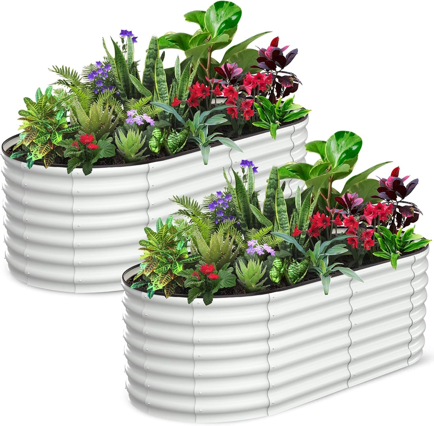 2 Pcs 6x3x2ft Oval Raised Garden Bed, Galvanized Raised Beds,Open-Ended Base Metal Raised Planter Beds,Garden Bed Outdoor,Planter Raised Boxes for Vegetables, Flowers,Tool-Free Asse,White