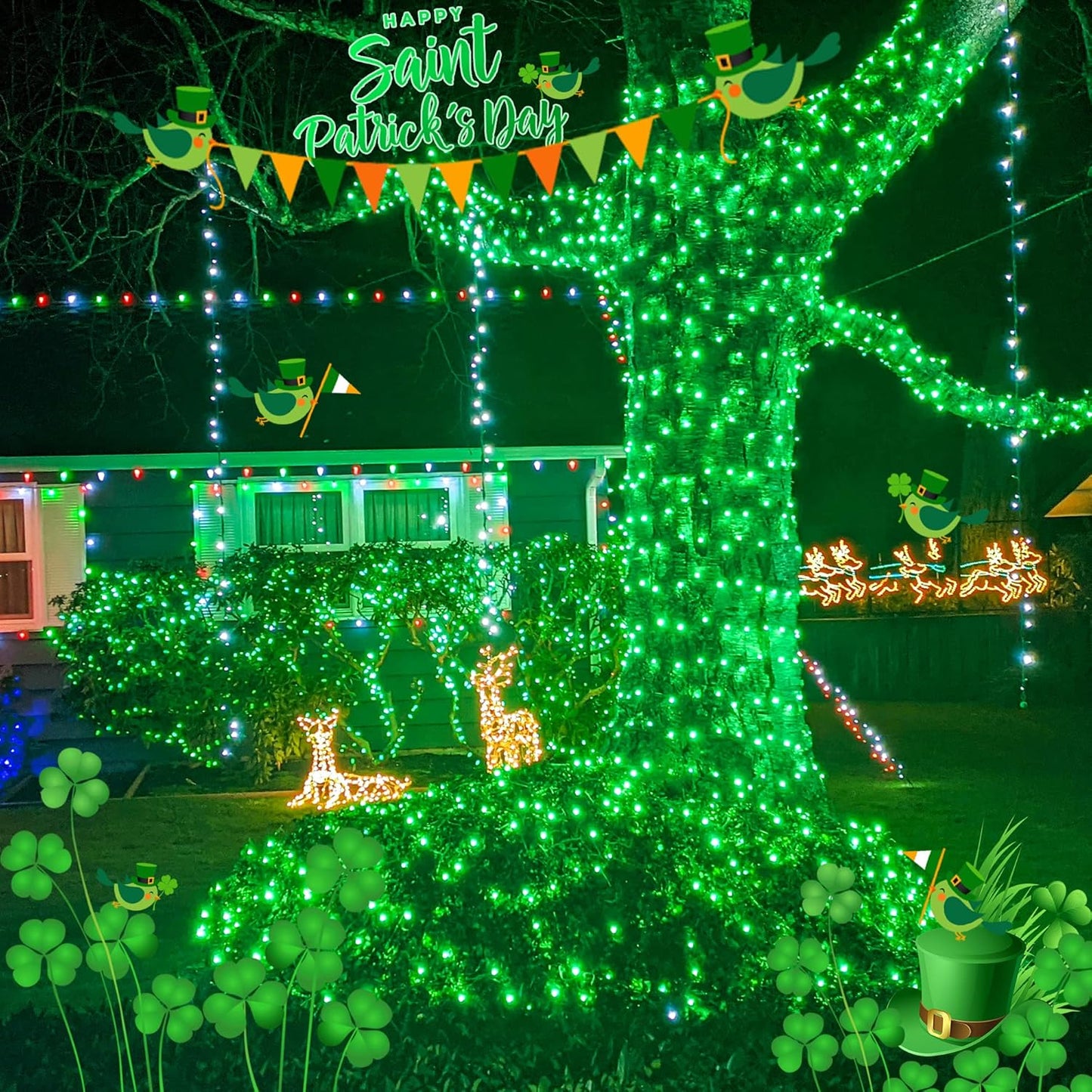 Hopolon Green Christmas Lights,50 Count 2PACK Green Wire 13 Feet Incandescent Mini Christmas Lights Plug in for Outdoor Indoor Halloween Tree Wedding Holiday Lighting Decor(2pcs Green)